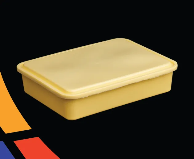 Plastic Rectangular Box